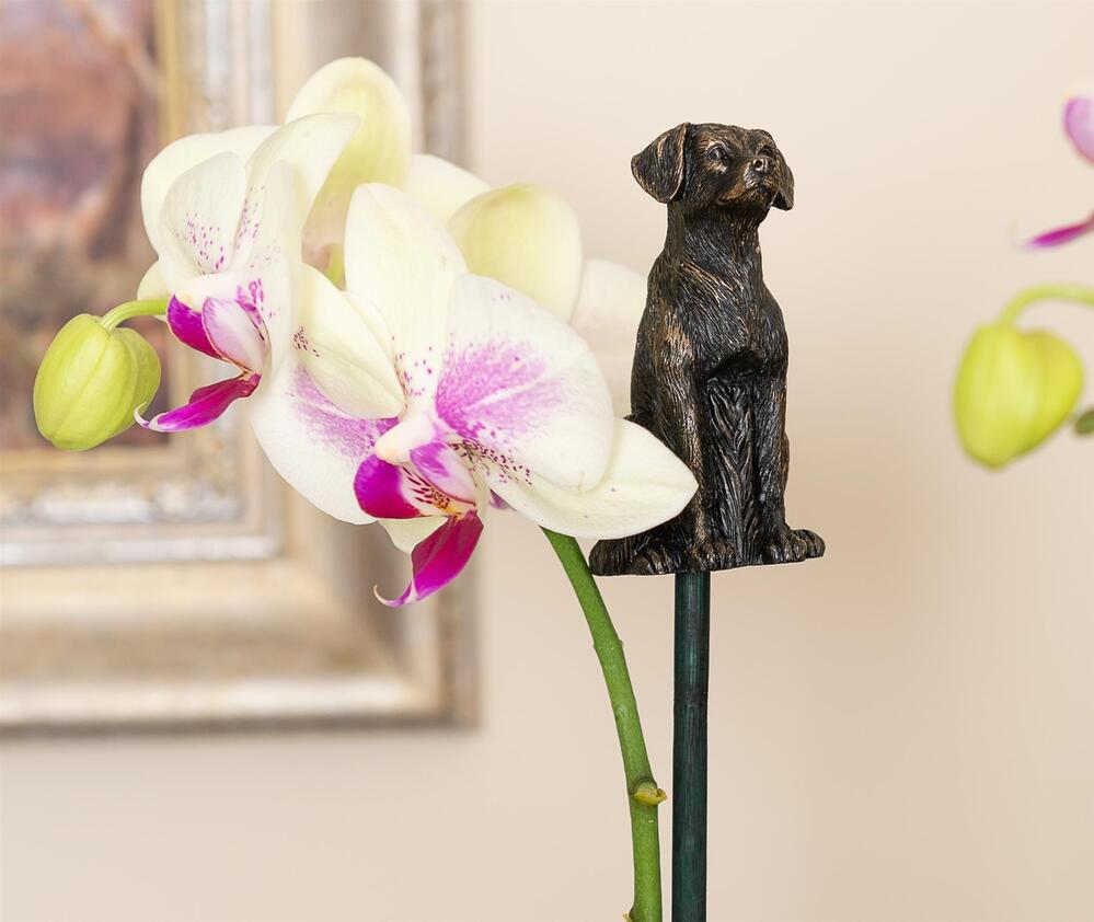 Jardinopia Cane Companion - Antique Bronze Labrador