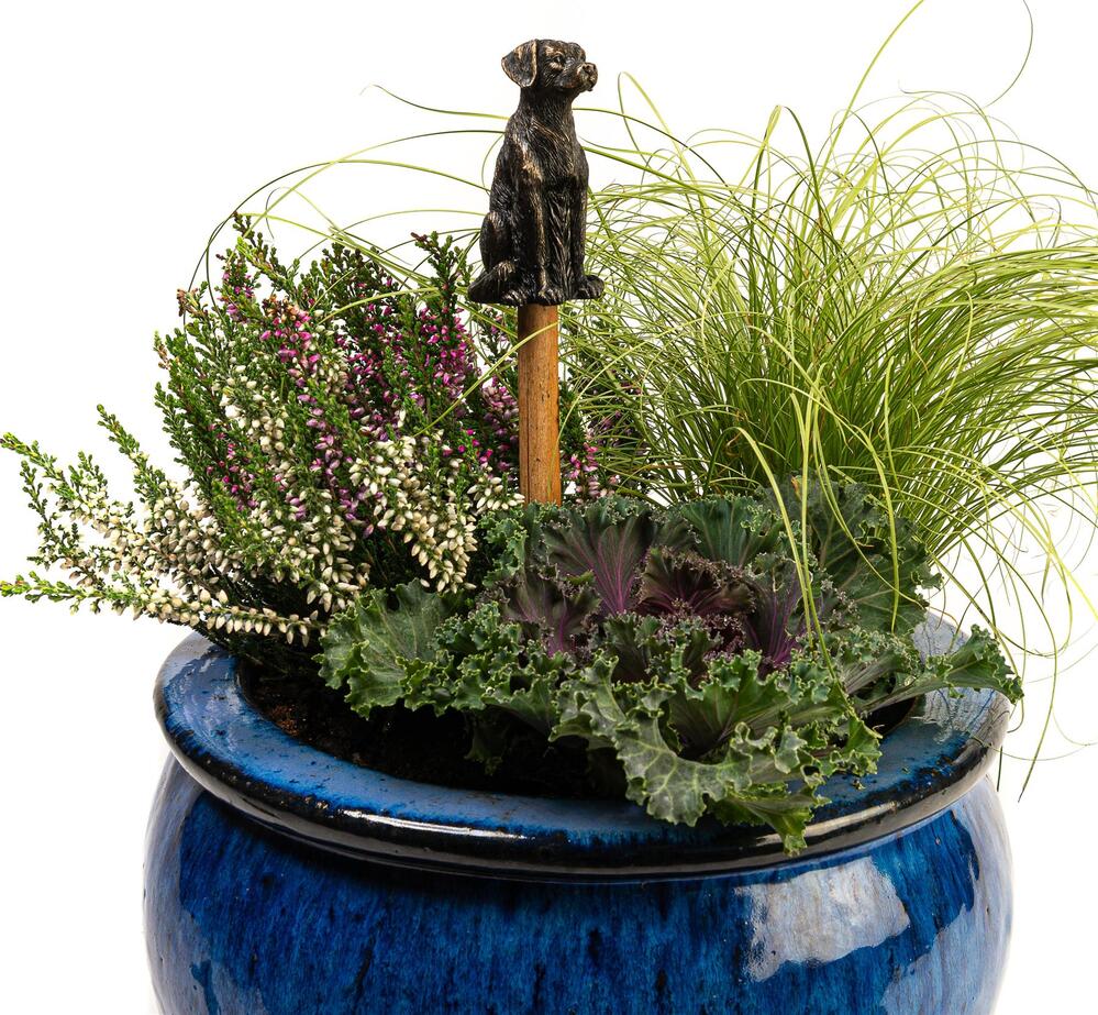 Jardinopia Cane Companion - Antique Bronze Labrador