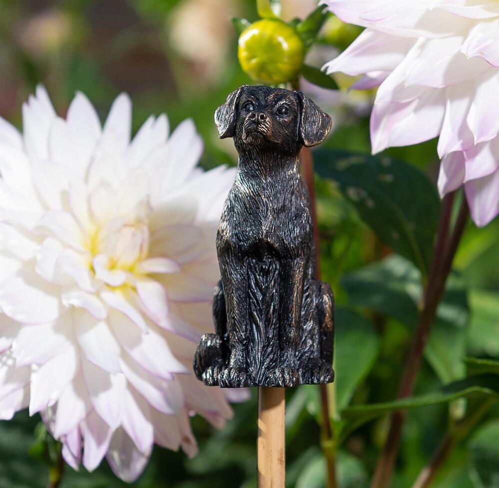 Jardinopia Cane Companion - Antique Bronze Labrador