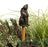 Jardinopia Cane Companion - Antique Bronze Moongazing Hare