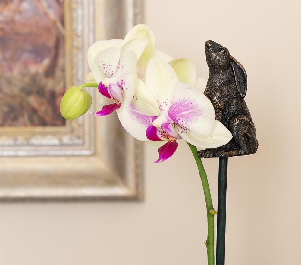 Jardinopia Cane Companion - Antique Bronze Moongazing Hare