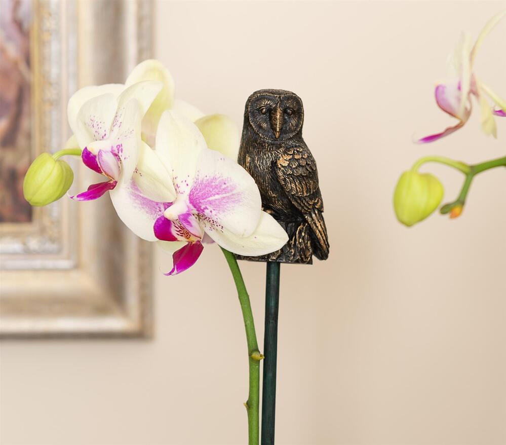 Jardinopia Cane Companion - Antique Bronze Barn Owl
