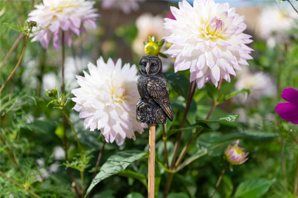 Jardinopia Cane Companion - Antique Bronze Barn Owl