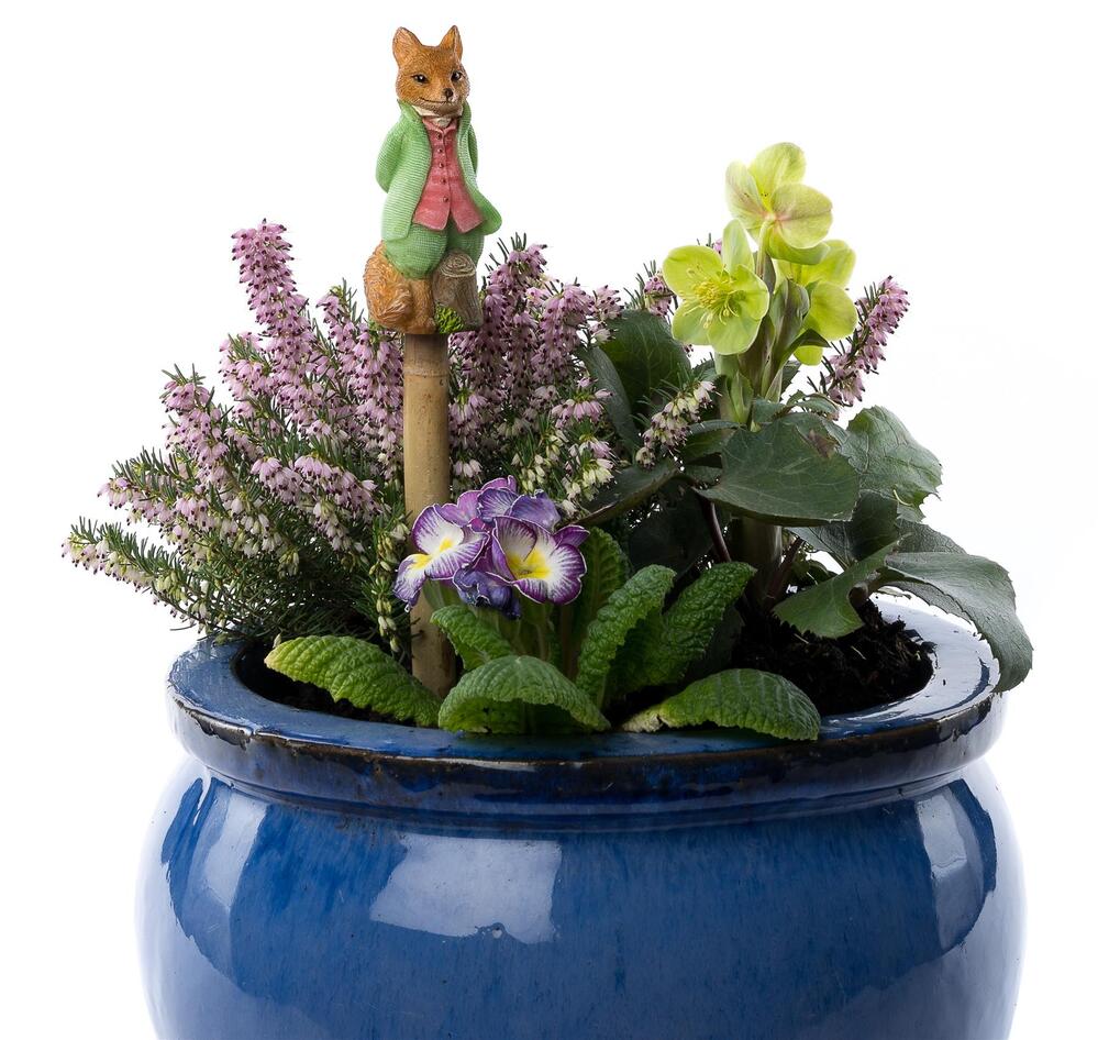 Jardinopia Cane Companion - Beatrix Potter: Mr. Tod