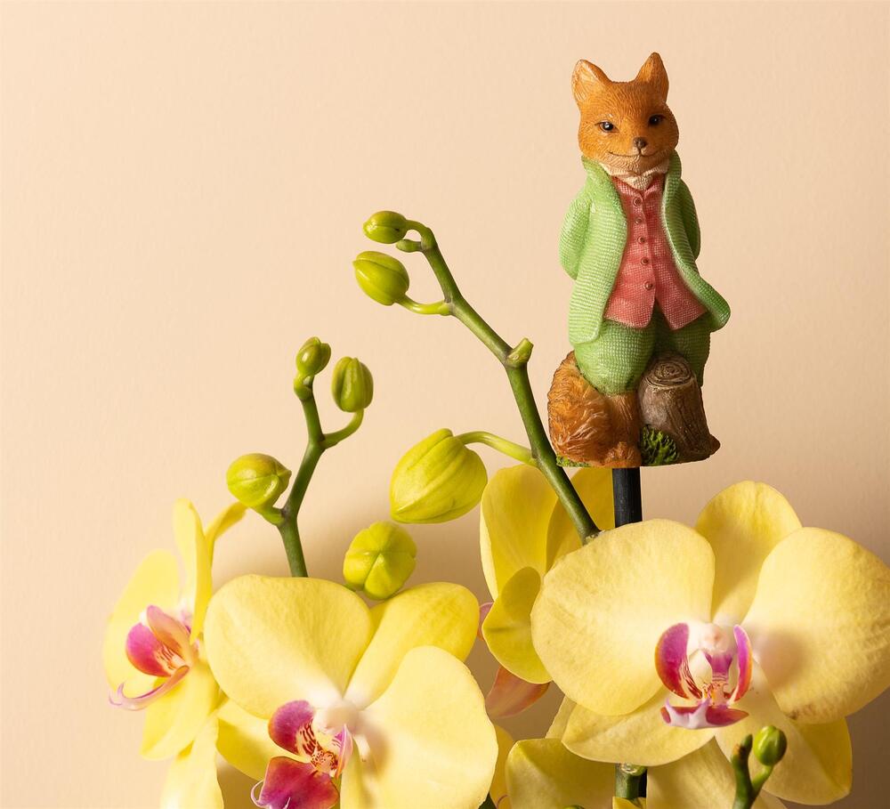 Jardinopia Cane Companion - Beatrix Potter: Mr. Tod
