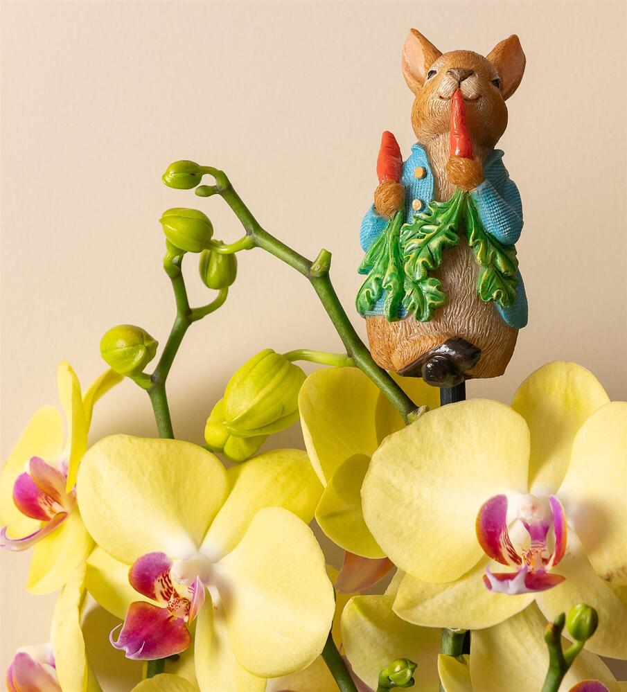 Jardinopia Cane Companion - Beatrix Potter: Peter Rabbit Eating Radishes