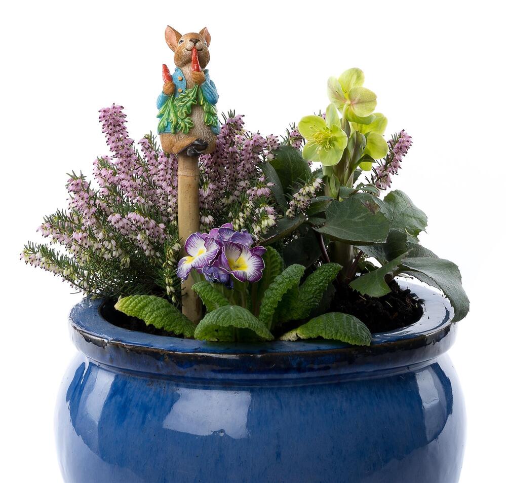 Jardinopia Cane Companion - Beatrix Potter: Peter Rabbit Eating Radishes