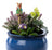 Jardinopia Cane Companion - Beatrix Potter: Peter Rabbit Eating Radishes