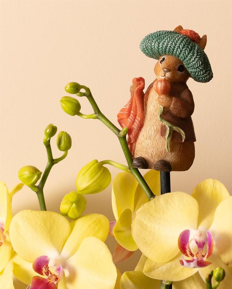 Jardinopia Cane Companion - Beatrix Potter: Benjamin Bunny