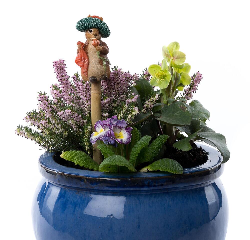 Jardinopia Cane Companion - Beatrix Potter: Benjamin Bunny