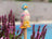 Jardinopia Cane Companion - Beatrix Potter: Jemima Puddle Duck