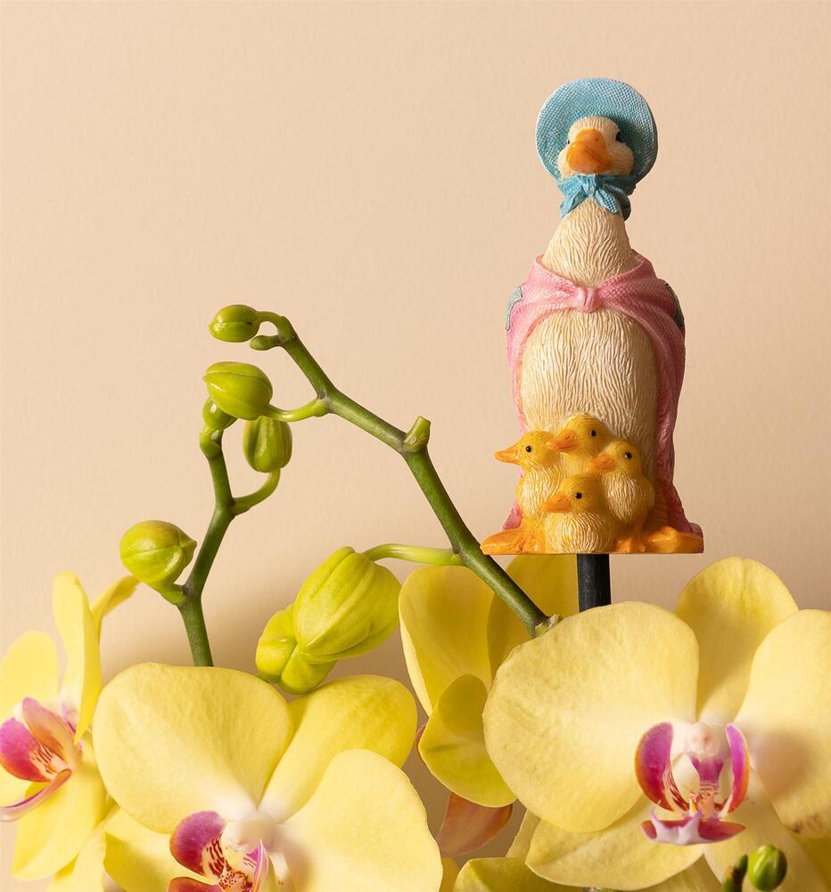 Jardinopia Cane Companion - Beatrix Potter: Jemima Puddle Duck