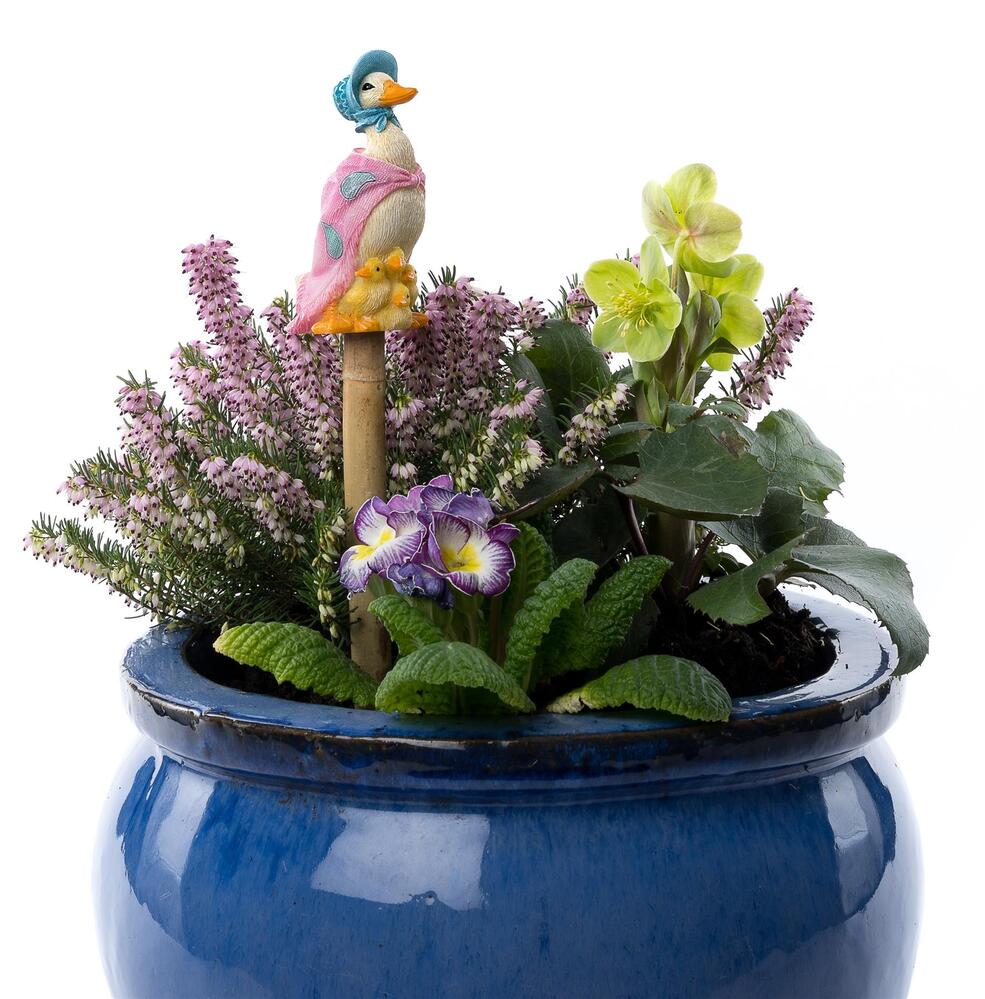 Jardinopia Cane Companion - Beatrix Potter: Jemima Puddle Duck