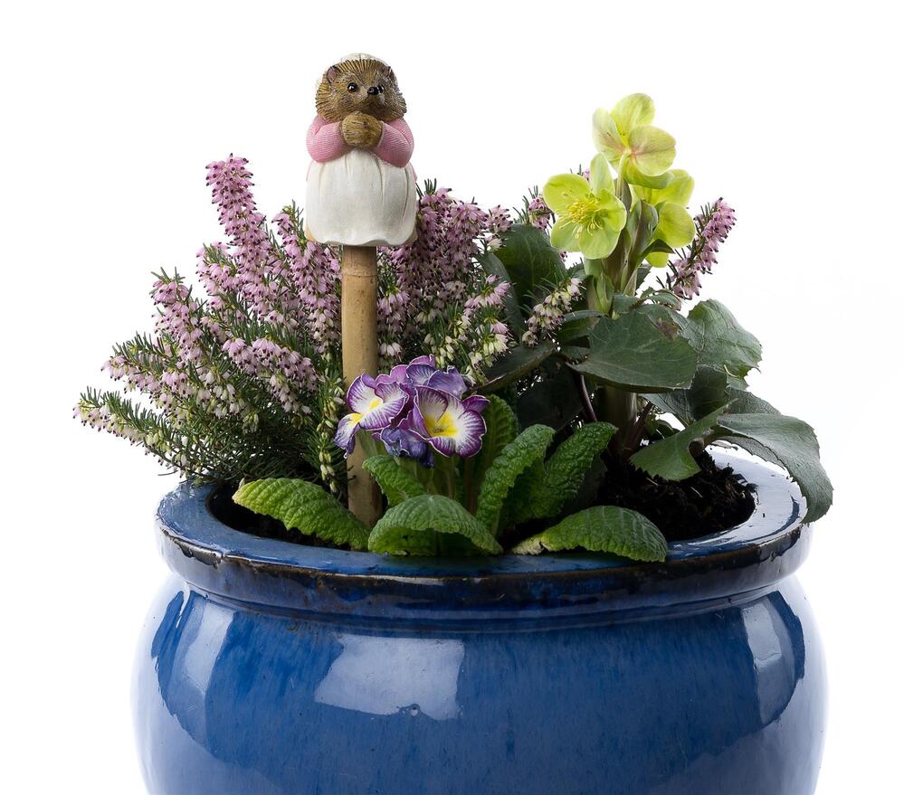 Jardinopia Cane Companion - Beatrix Potter: Mrs Tiggy Winkle