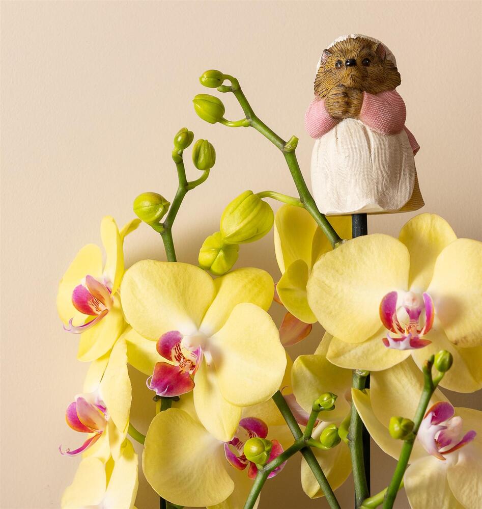 Jardinopia Cane Companion - Beatrix Potter: Mrs Tiggy Winkle