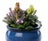 Jardinopia Cane Companion - Beatrix Potter: Mr Jeremy Fisher