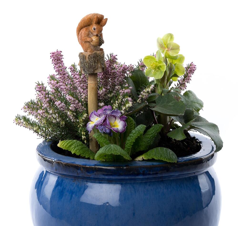 Jardinopia Cane Companion - Beatrix Potter: Squirrel Nutkin