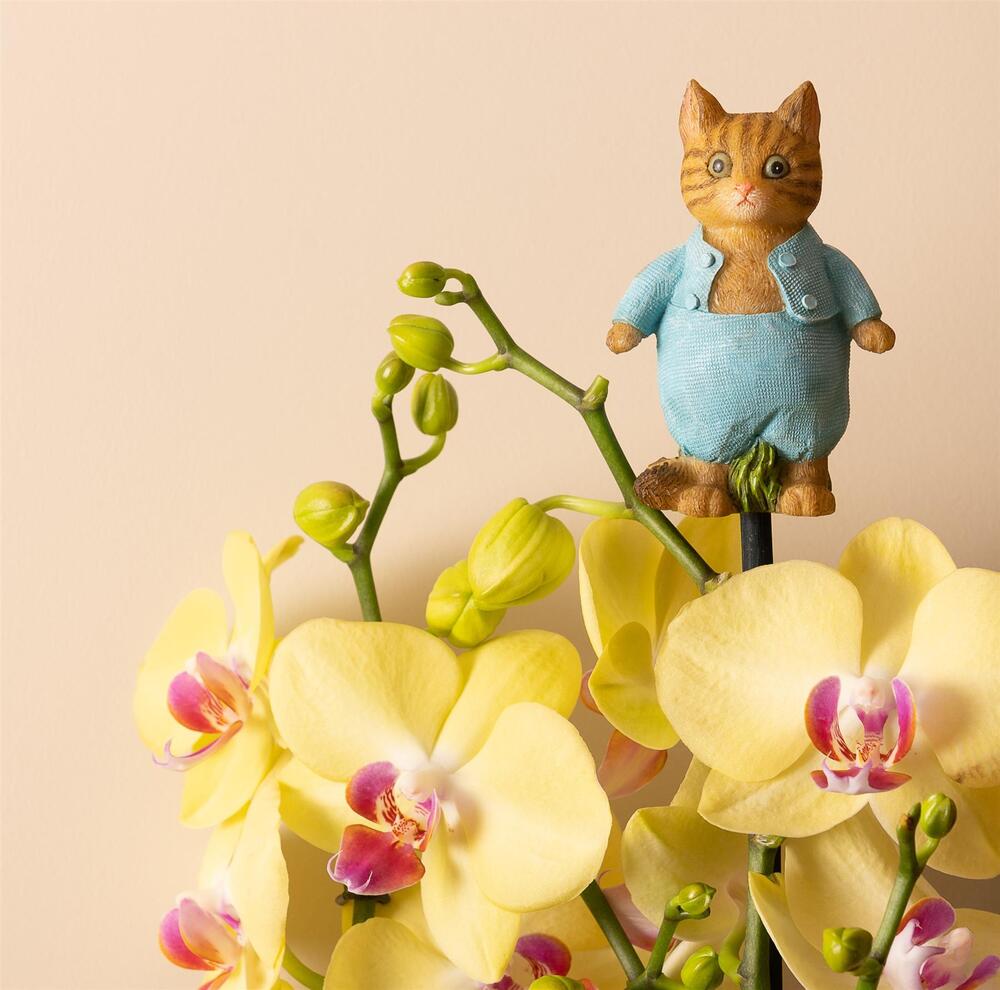 Jardinopia Cane Companion - Beatrix Potter: Tom Kitten