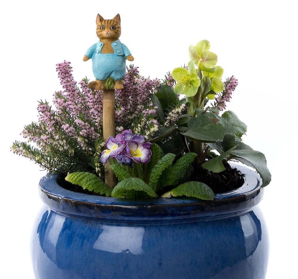 Jardinopia Cane Companion - Beatrix Potter: Tom Kitten