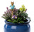 Jardinopia Cane Companion - Beatrix Potter: Tom Kitten