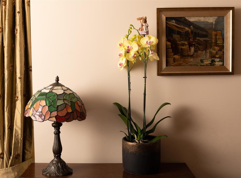 Jardinopia Cane Companion - Beatrix Potter: Hunca Munca