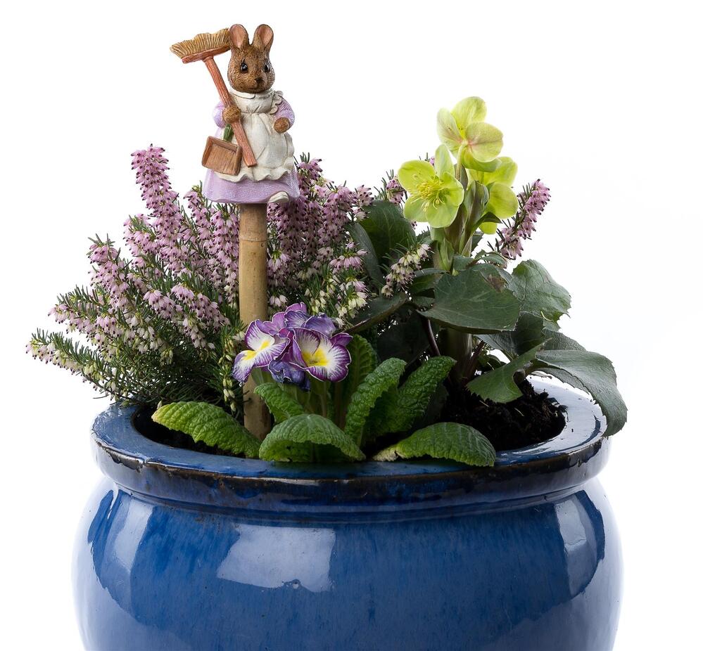 Jardinopia Cane Companion - Beatrix Potter: Hunca Munca
