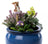 Jardinopia Cane Companion - Beatrix Potter: Hunca Munca