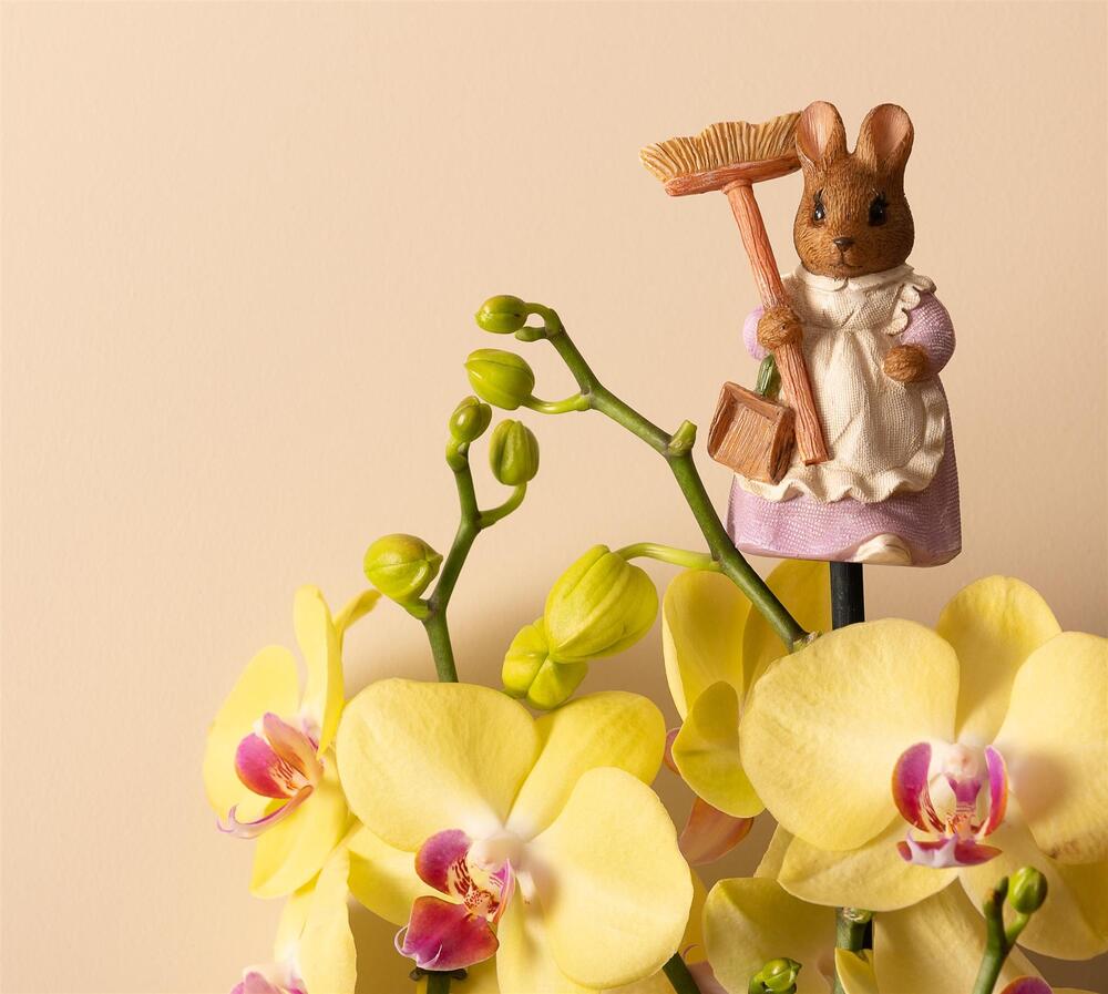 Jardinopia Cane Companion - Beatrix Potter: Hunca Munca