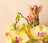 Jardinopia Cane Companion - Apple Blossom Fairies