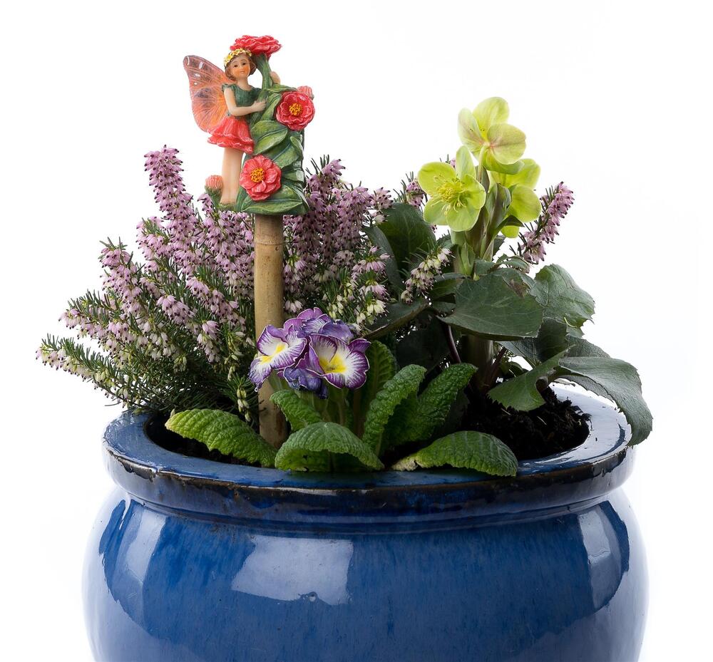 Jardinopia Cane Companion - Zinnia Fairy