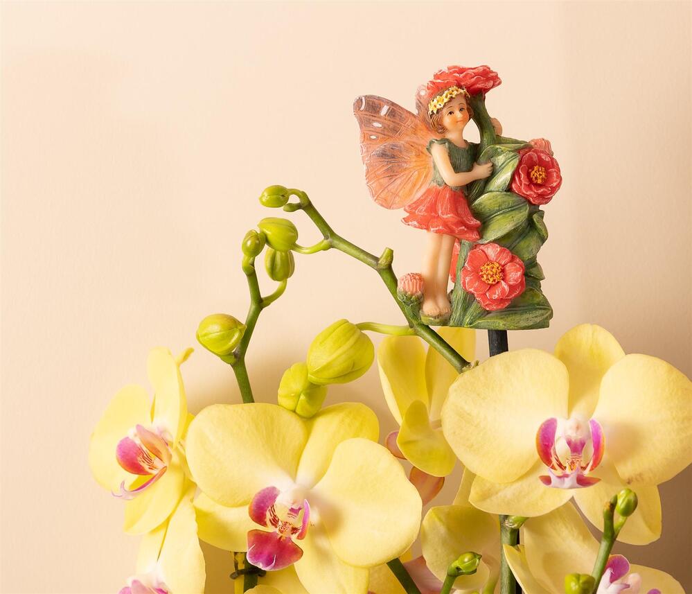 Jardinopia Cane Companion - Zinnia Fairy
