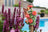 Jardinopia Cane Companion - Zinnia Fairy