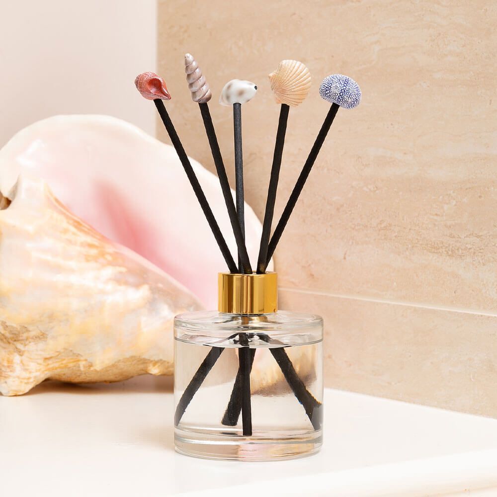 Jardinopia Diffuser Topper - Seashells (Set Of 5)