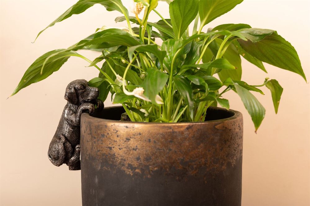 Jardinopia Pot Buddies - Antique Bronze Labrador