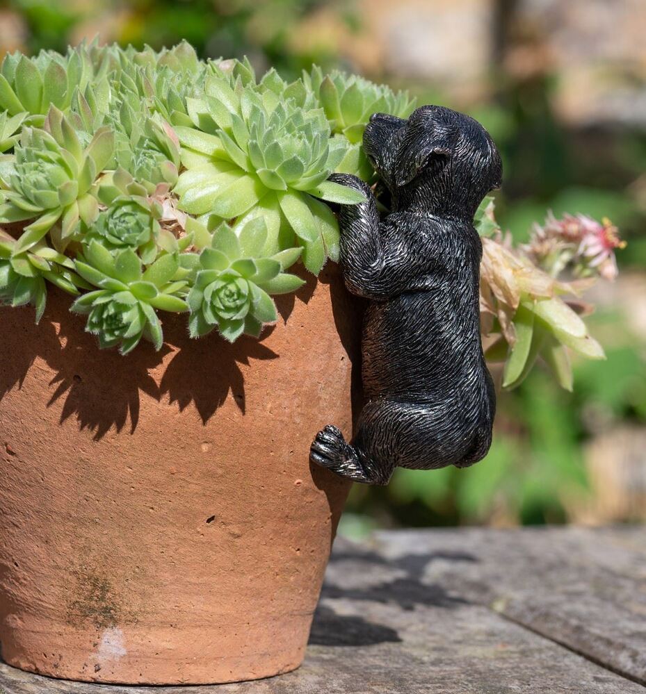 Jardinopia Pot Buddies - Antique Bronze Labrador