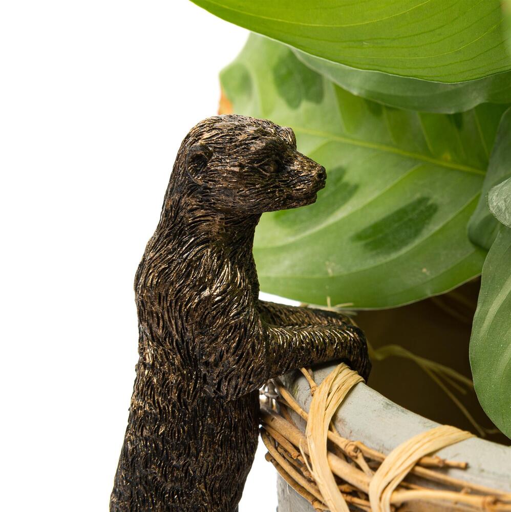 Jardinopia Pot Buddies - Antique Bronze Meerkat