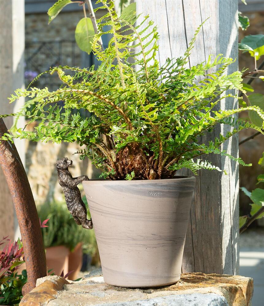 Jardinopia Pot Buddies - Antique Bronze Meerkat