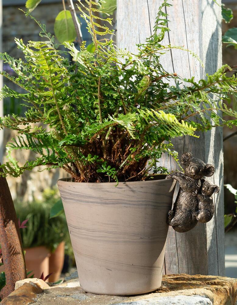 Jardinopia Pot Buddies - Antique Bronze Koala Bear & Baby
