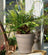 Jardinopia Pot Buddies - Antique Bronze Brown Bear