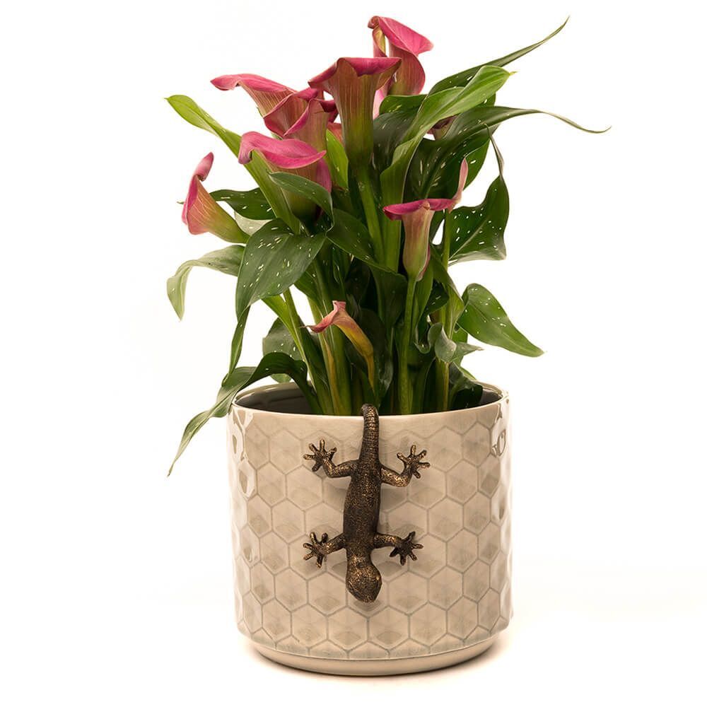 Jardinopia Pot Buddies - Antique Bronze Gecko