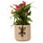 Jardinopia Pot Buddies - Antique Bronze Gecko