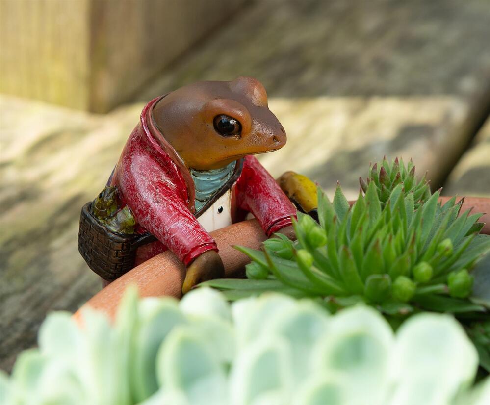 Jardinopia Pot Buddies - Beatrix Potter: Mr Jeremy Fisher