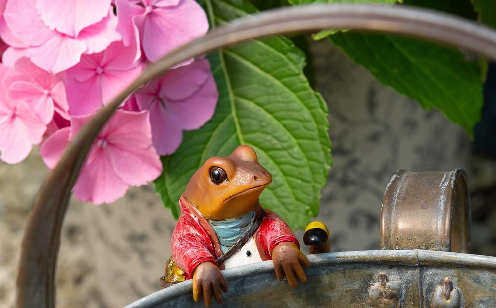 Jardinopia Pot Buddies - Beatrix Potter: Mr Jeremy Fisher