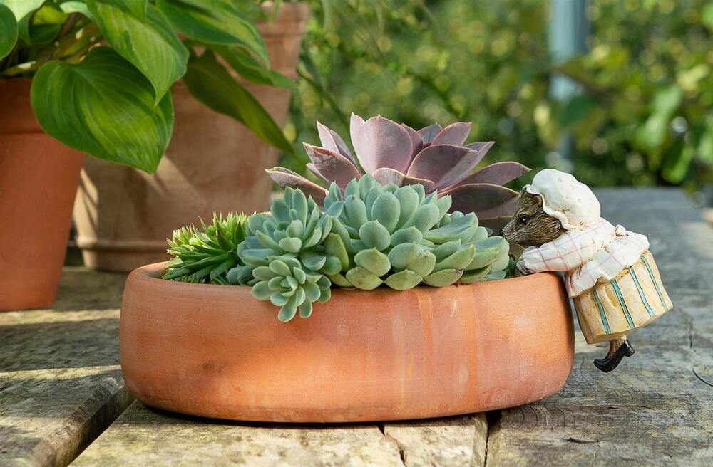Jardinopia Pot Buddies - Beatrix Potter: Mrs Tiggy-winkle