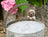 Jardinopia Pot Buddies - Beatrix Potter: Mrs Tiggy-winkle
