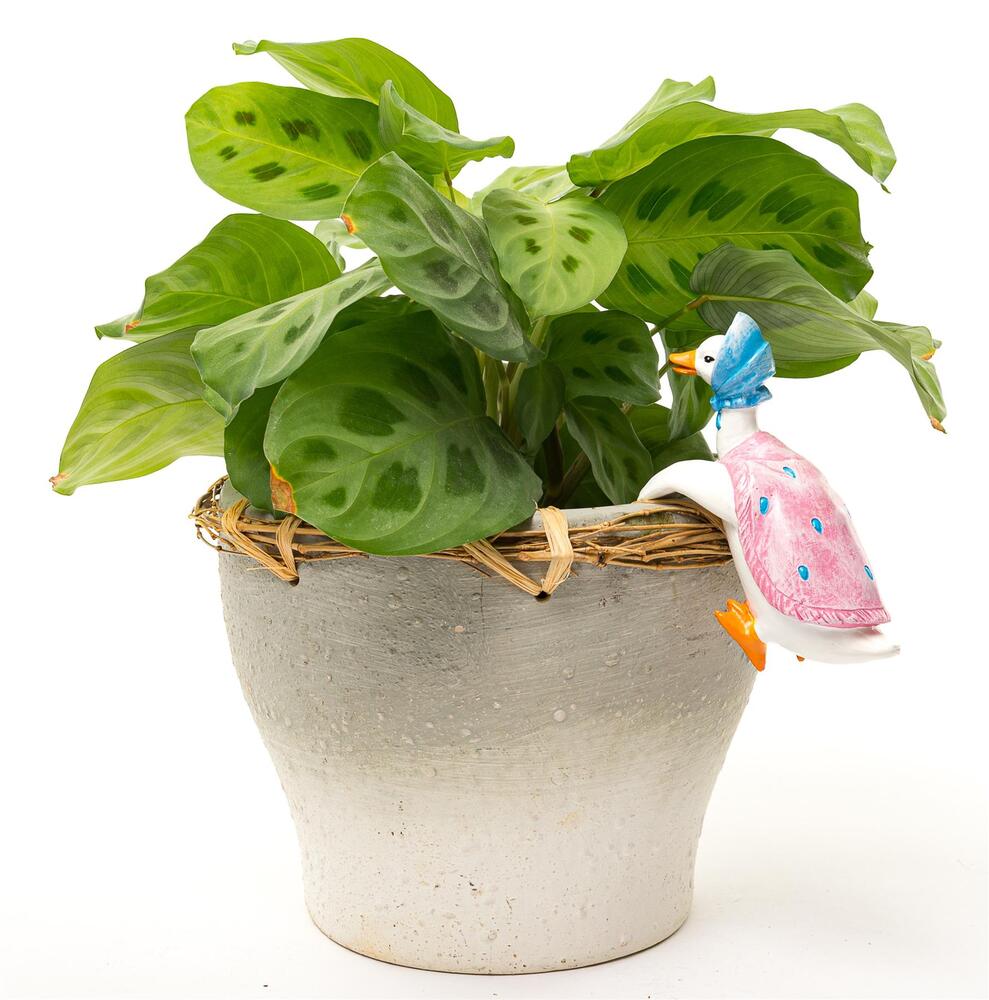 Jardinopia Pot Buddies - Beatrix Potter: Jemima Puddle-duck