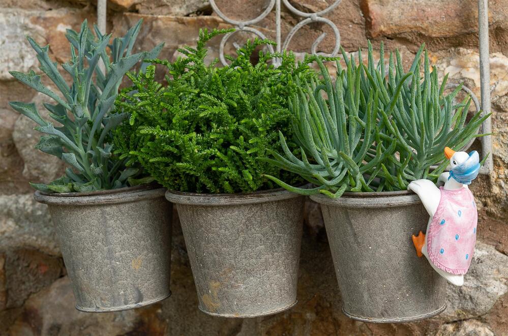 Jardinopia Pot Buddies - Beatrix Potter: Jemima Puddle-duck