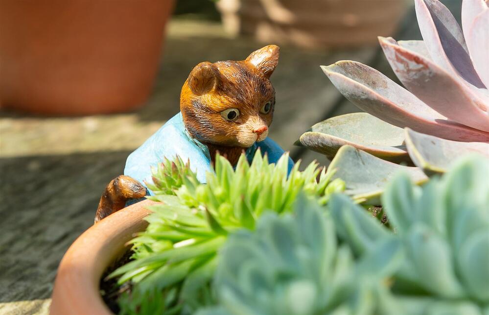 Jardinopia Pot Buddies - Beatrix Potter: Tom Kitten