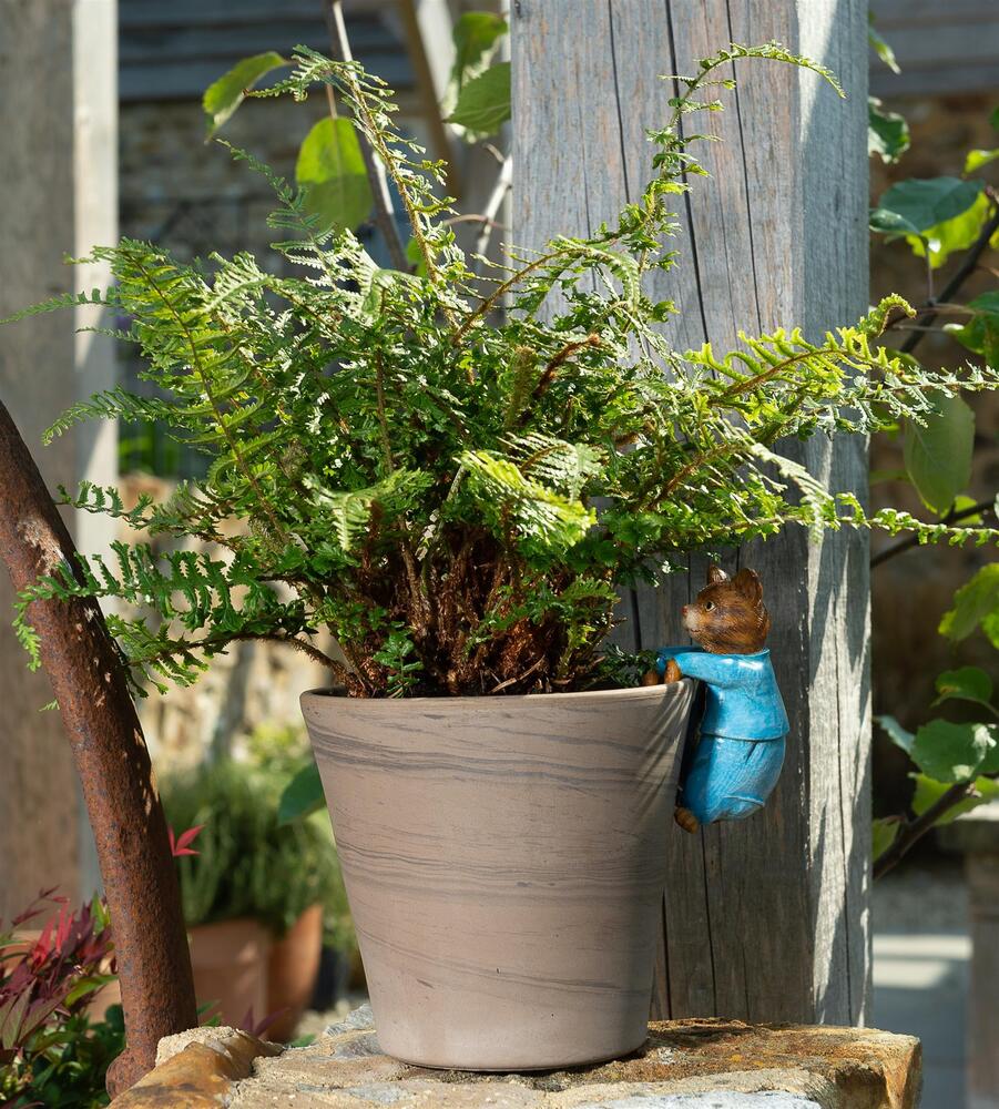Jardinopia Pot Buddies - Beatrix Potter: Tom Kitten
