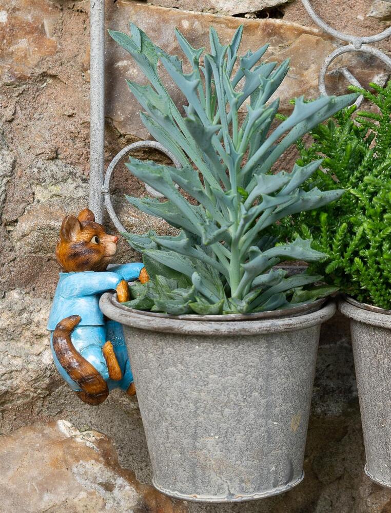 Jardinopia Pot Buddies - Beatrix Potter: Tom Kitten